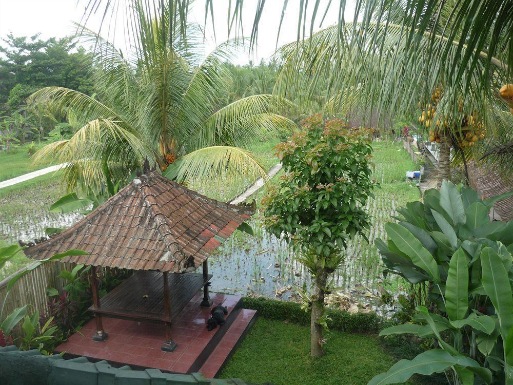 Kudos Guesthouse Ubud Kültér fotó